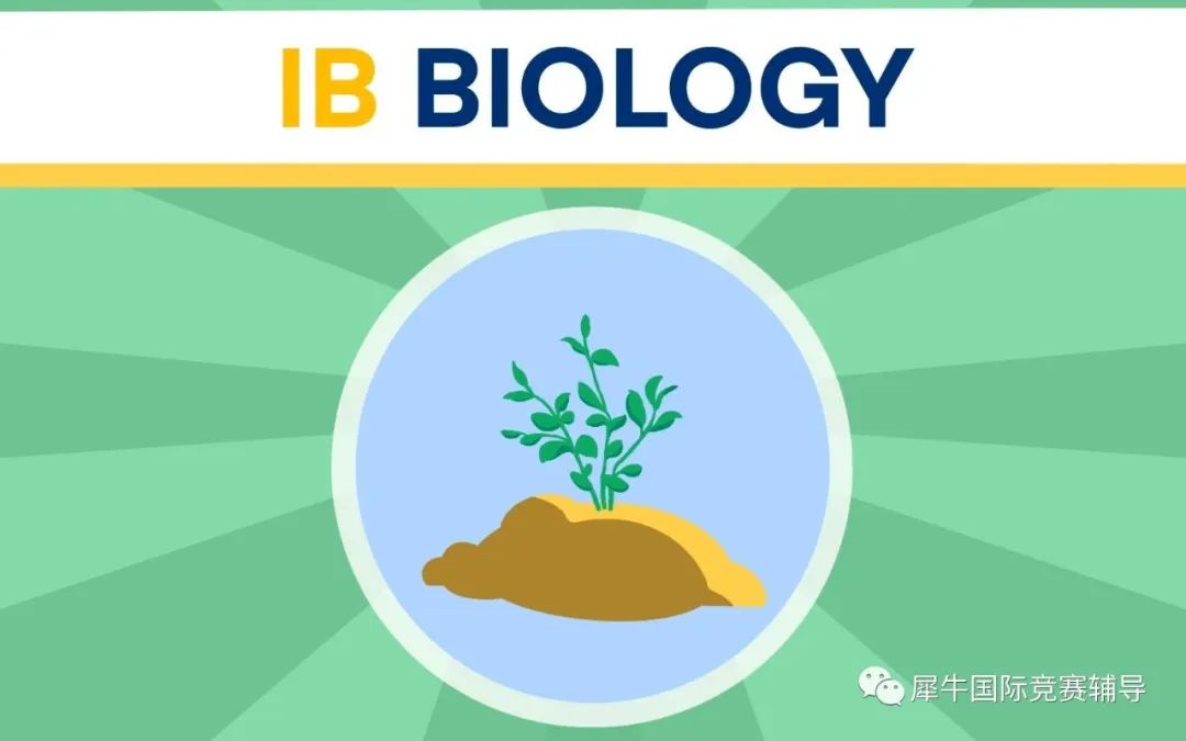 IB生物學(xué)
