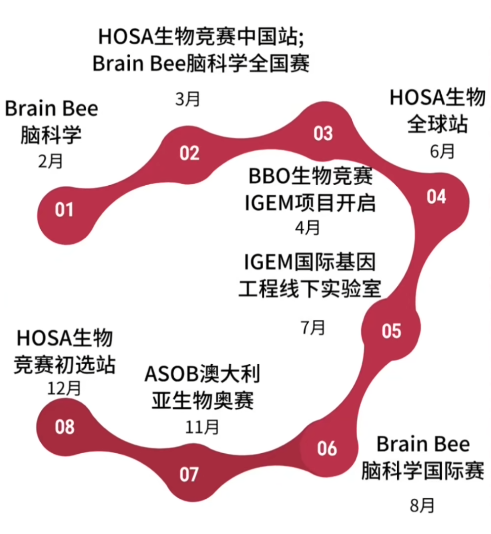 usabo/bbo真題