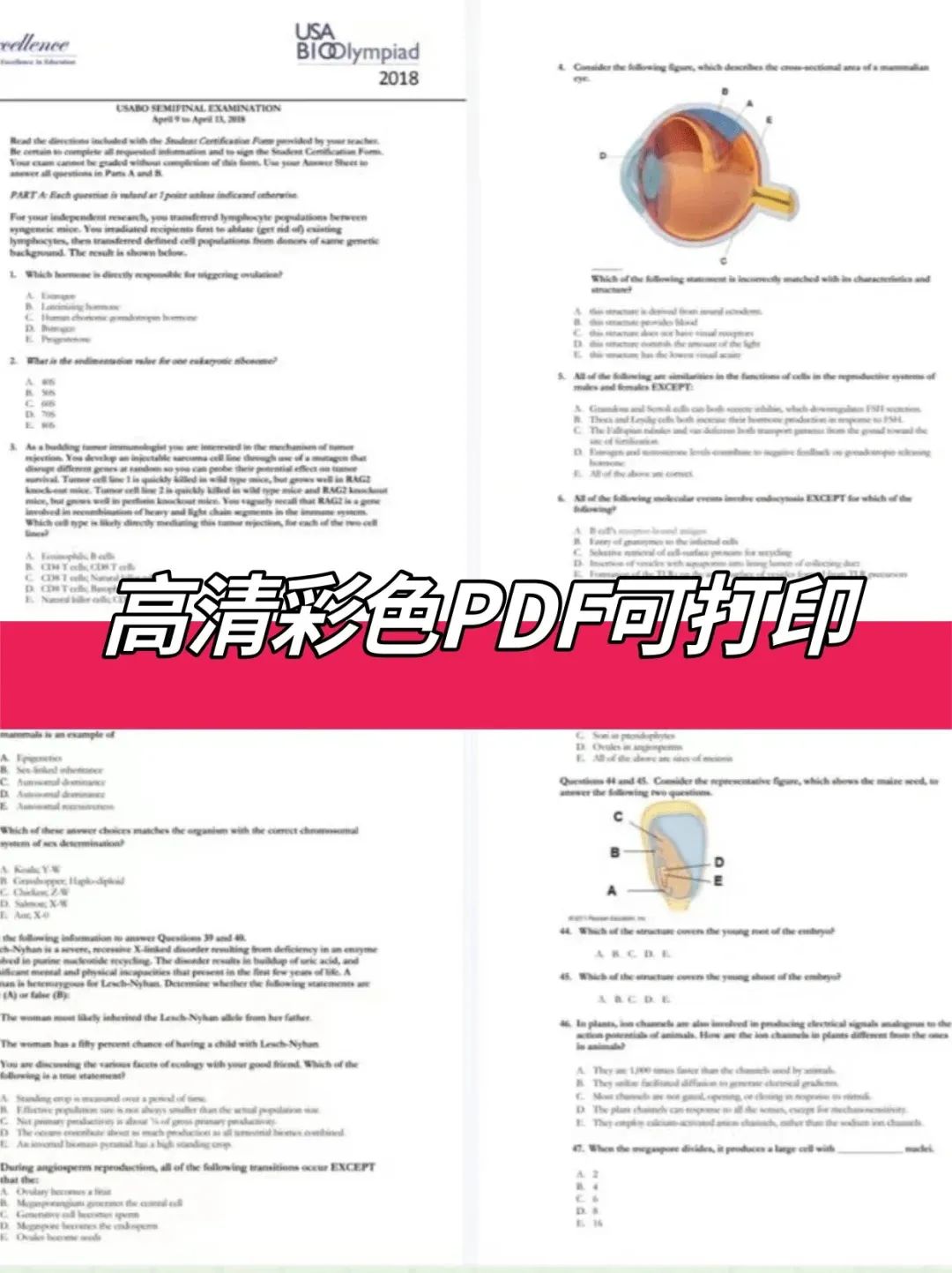 生物競賽界雙翹楚！USABO＋BBO近30套真題放送_4_Andy學長競賽留學_來自小紅書網(wǎng)頁版.jpg